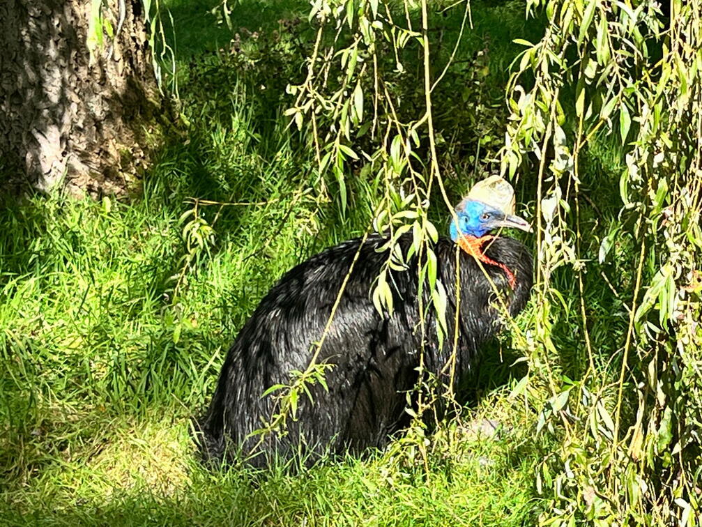 23-09-22 14-29-46 7300